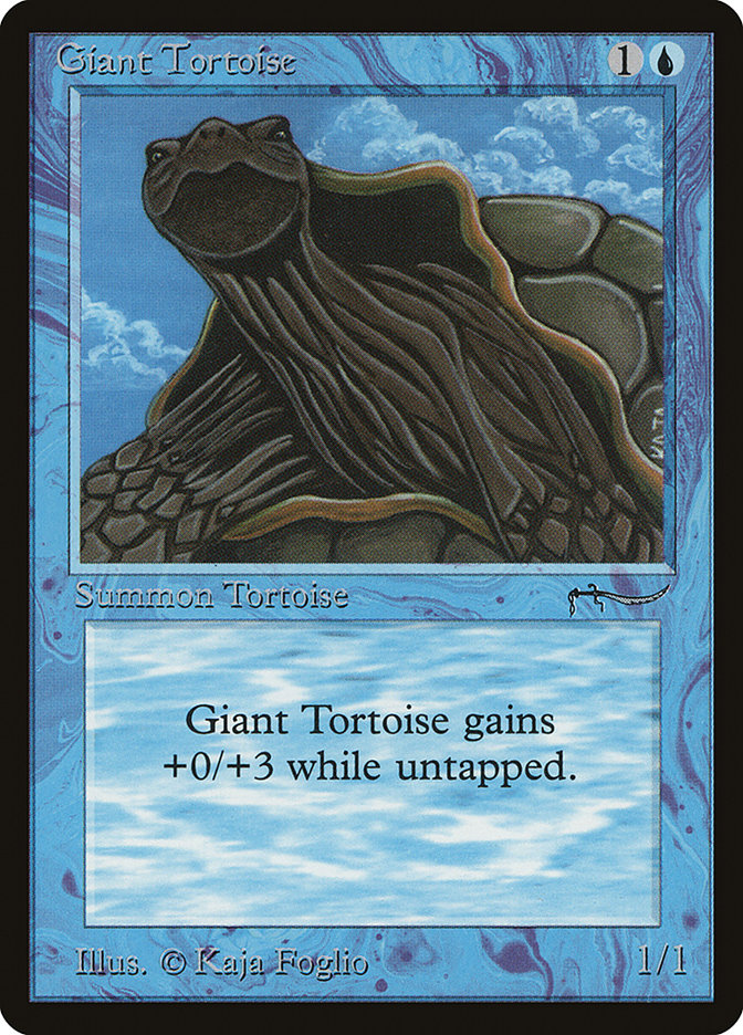 Giant Tortoise - Arabian Nights (ARN)