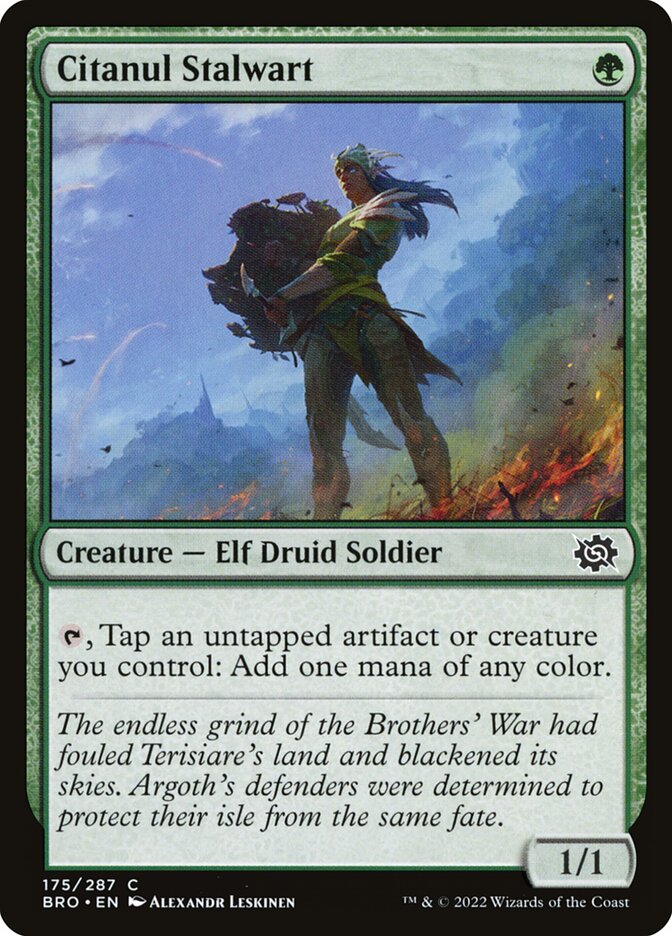 Citanul Stalwart - The Brothers' War