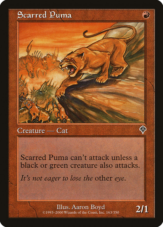 Puma da Cicatriz - Invasion