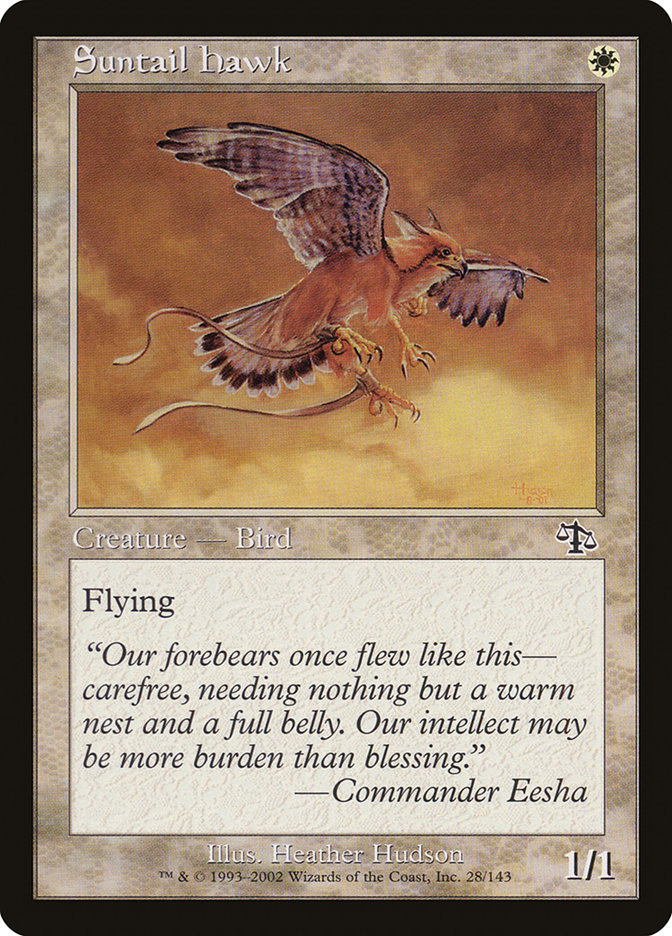 Suntail Hawk - Judgment (JUD)