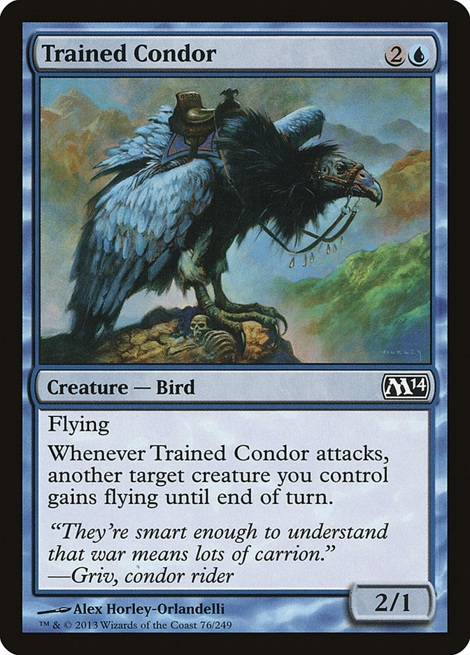 Trained Condor - Magic 2014
