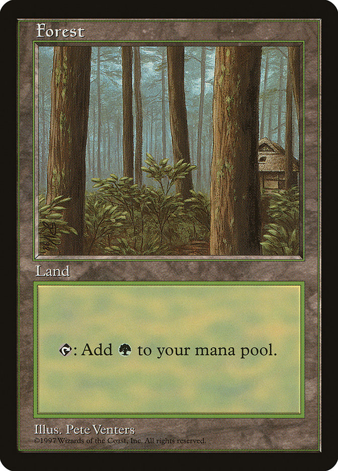 Forest - MTG Card versions