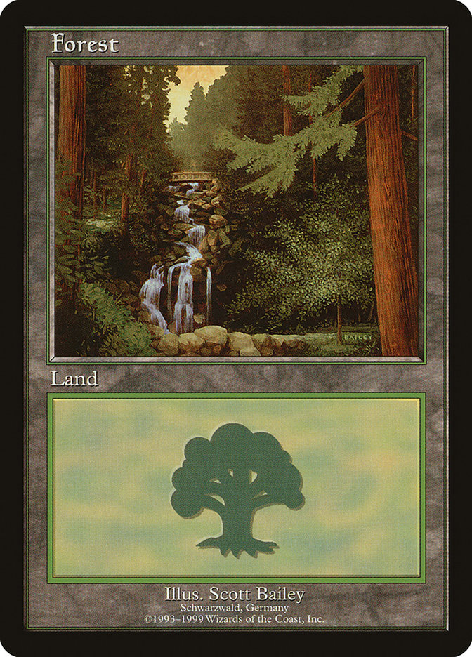 Forest - MTG Card versions