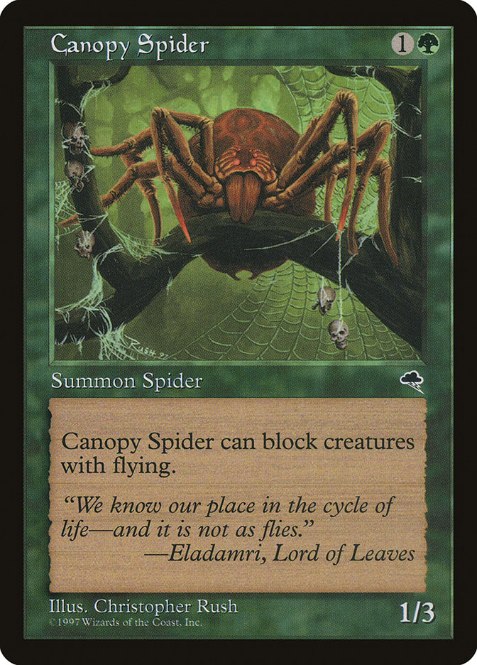 Canopy Spider - Tempest (TMP)